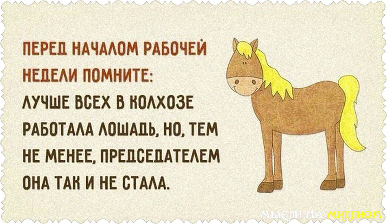    - 6  2015  19:17