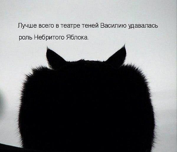   - 9  2016  15:28