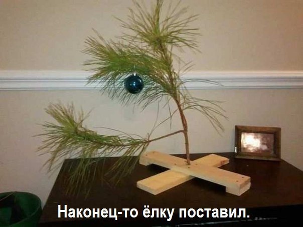  - 20  2015  15:03