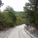 ���� �����, �����������, 42 ���� - ��������� 11 ������� 2015 � ������ ������ ��������