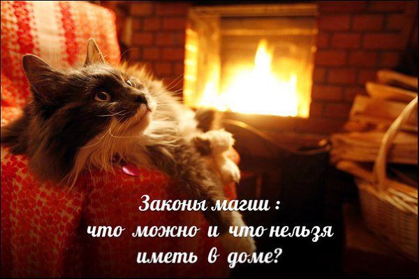 *** Законы магии — что можно и что нельзя иметь в доме. Чтобы удача не отвернулась от вас, мало ...