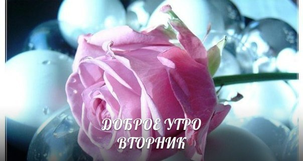  - 9  2016  06:21
