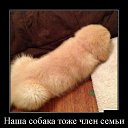 ���-���, ������� ��������� ����������� ��� ���������� - �������, ����������, �������������� �����, ������� ��� ������� �������� �������. �� �������� ��� �� ����� �� ��� ����, � �� �������� ������ �� �� ������ ��� ���, ���� ��� �������� ����� ������� ��� ����� ������. ���� ����� ��� ��� �������, ��� �� �����, ��� �� �����. ����, ������, �� ����� ����, ���� �� ����������� ������� �� ����. �� ������� �������� ��������� ����������׻