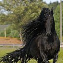 ���� ����� �����������, �����, 47 ��� - ��������� 4 ������ 2015 � ������ ���� ����������