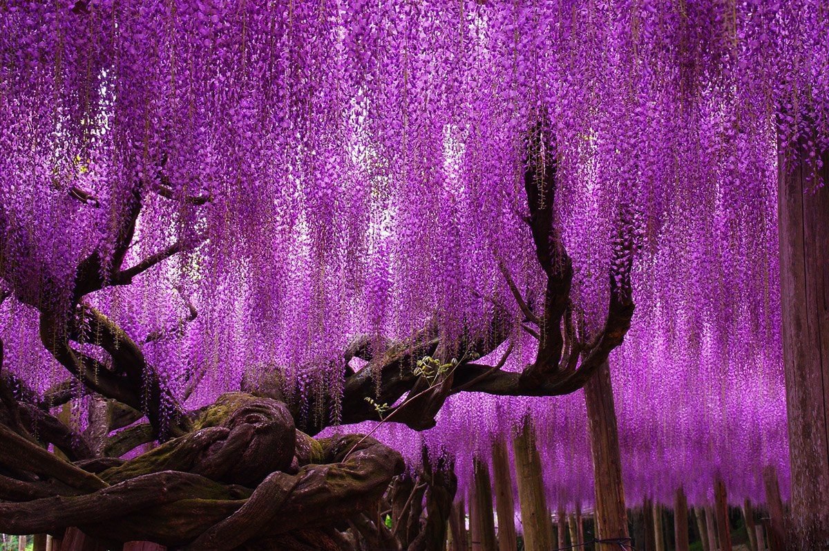  ! - 21  2016  08:36