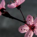 ���� ����, ������, 44 ���� - ��������� 2 ������� 2015 � ������ ���� ����������