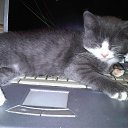 ���� �������, ������������, 60 ��� - ��������� 7 ������� 2015