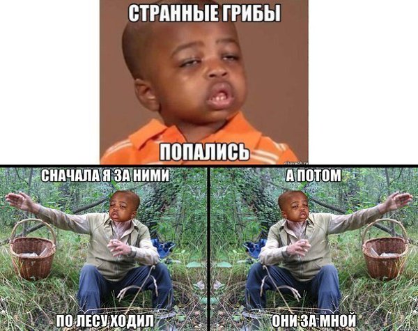    :D - 12  2015  13:09