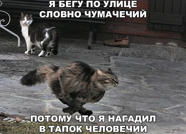  - 20  2015  15:17
