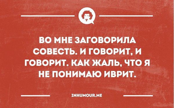  - ,  - 24  2016  16:05