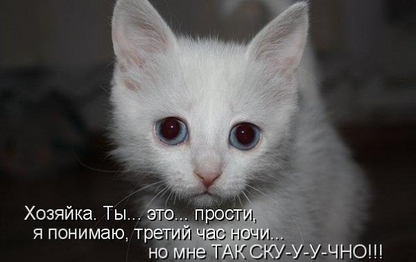 ����� ������� - 5 ������� 2015 � 09:03