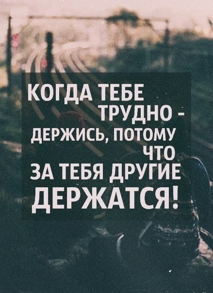   | ,    - 11  2016  11:09 - 2