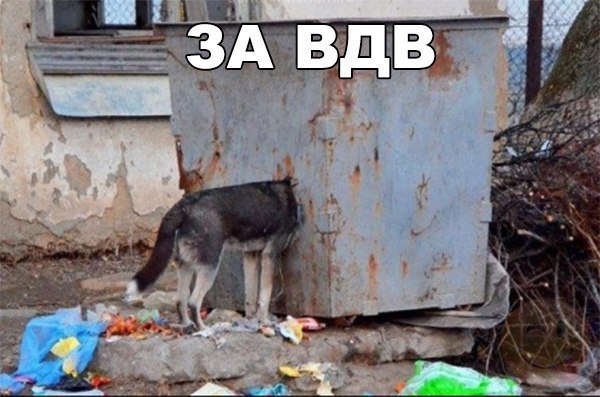  - 6  2015  23:48