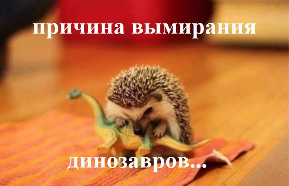 - �������� - - 13 ������ 2015 � 22:36