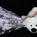 ���� �������, ���������� - ��������� 5 ������ 2015 � ������ ������ ��������