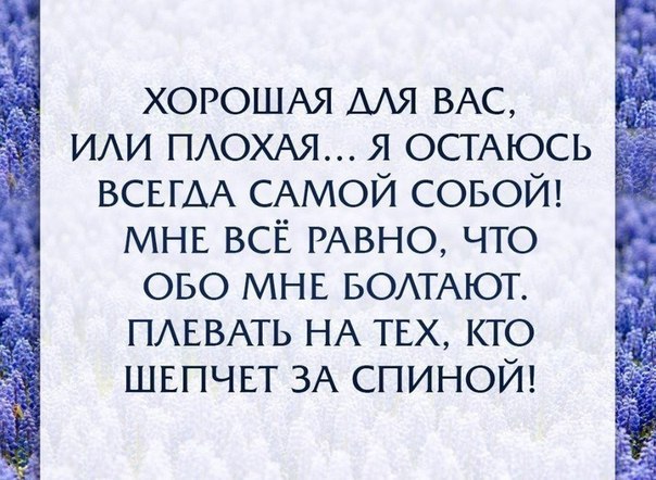   - 8  2016  10:44