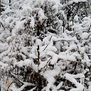 ���� �������, ���������, 69 ��� - ��������� 6 ������� 2016 � ������ ������ ��������