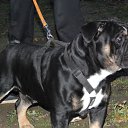 ���� �����, ������ - ��������� 23 ������ 2015 � ������ �����