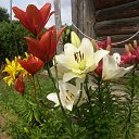 ���� �����, ����������, 59 ��� - ��������� 19 ������� 2016 � ������ ������ ��������