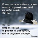 ���� ����, �����������, 61 ��� - ��������� 21 ������� 2015 � ������ ������ ��������