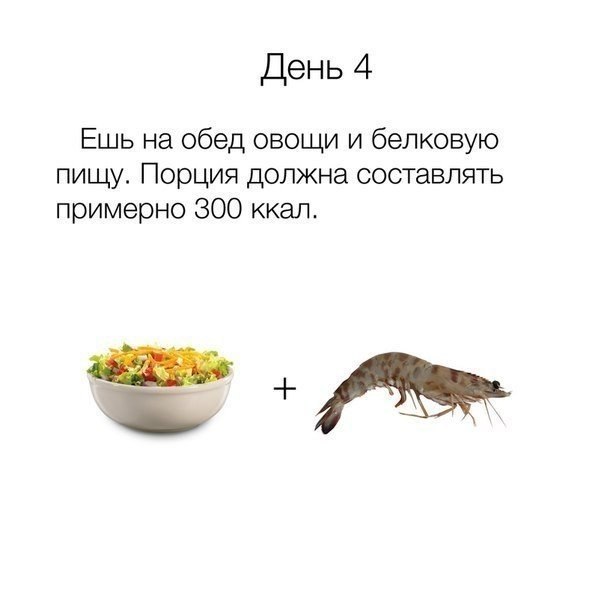      17 .      ,   ... - 4