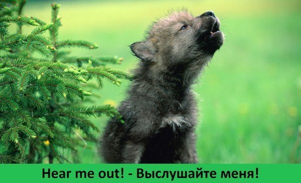 Разговорные фразы : Hear me out! - Выслушайте меня! I couldn't reach you. - Я не мог ...