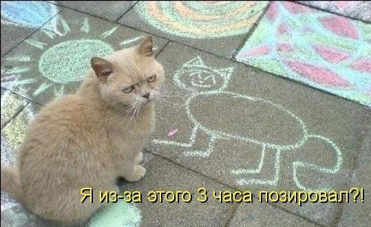  - 10  2015  12:23