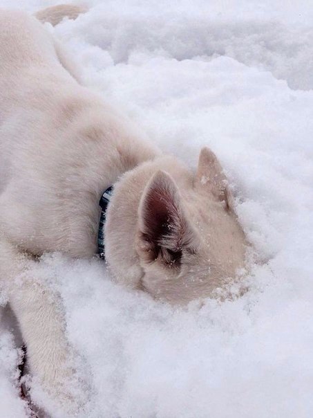 ,    . #@https://fotostrana.ru/away?to=/sl/XE2 - 6