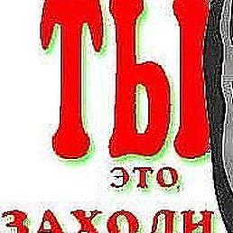 �������, ������, 81 ���