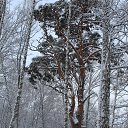  , , 69  -  8  2016   .  