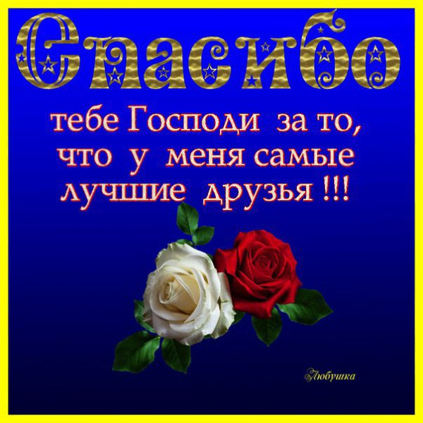 День спасибо - дань культуре! Вежливость всегда у нас в цене. Даже древние в их шкуре Рисовали это ...