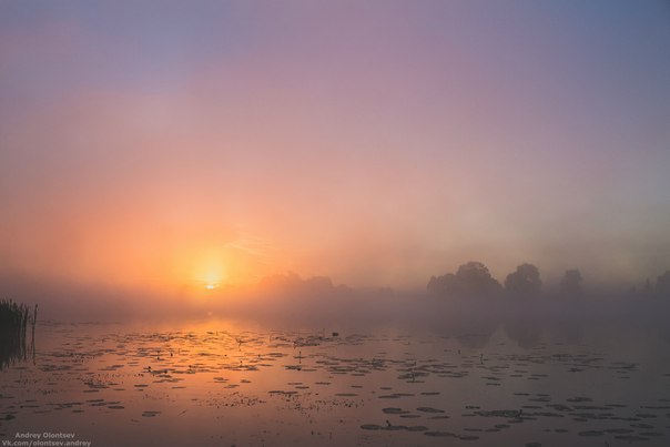   -    - 1  2015  01:37 - 8
