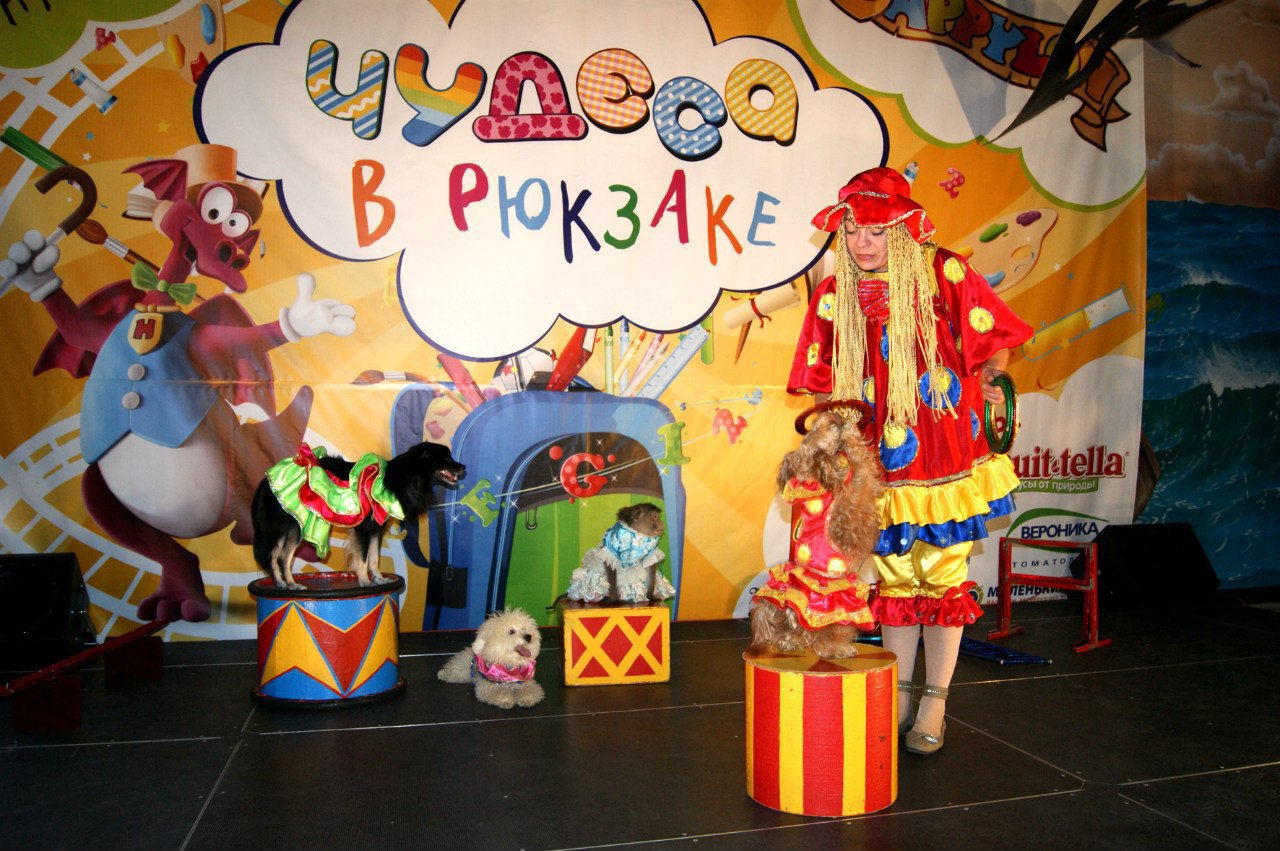 HAPPYLON Pirate's Park. ,          ... - 6