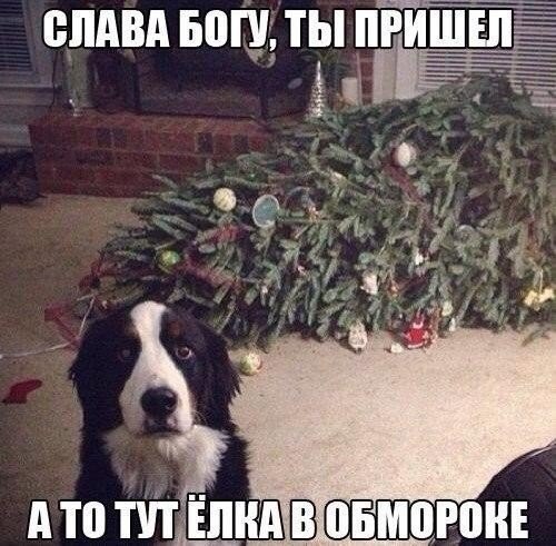    - 5  2016  20:15