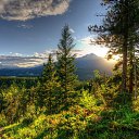 ���� ����, �����, 41 ��� - ��������� 2 ������� 2015 � ������ ������ ��������