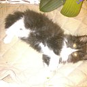 ���� ���������, ������, 59 ��� - ��������� 29 ������ 2015 � ������ ���� ����������