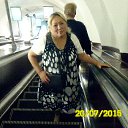 � � ����� 2015 ��� �� ������� ����� 2015 ���