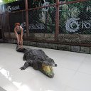 ���� ����, ������, 49 ��� - ��������� 21 ������� 2016 � ������ ���� ����������