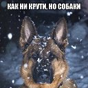 ���� ���������, �����, 68 ��� - ��������� 4 ������� 2016