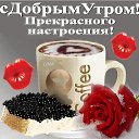 ���� �����, ���������� - ��������� 11 ������� 2016 � ������ ������ ��������