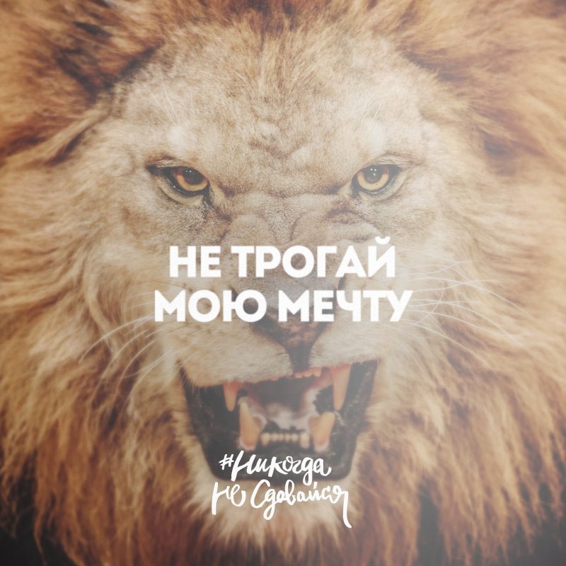  -   - 2  2015  11:46