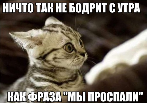   - 29  2016  17:09