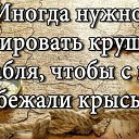 ���� Serb, ��������� - ��������� 16 ������� 2015 � ������ ������ ��������