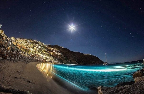  , .#@travel.blog