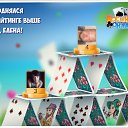 ���� Ը���, �����-��������� - ��������� 8 ������� 2016 � ������ �������� �������-�������