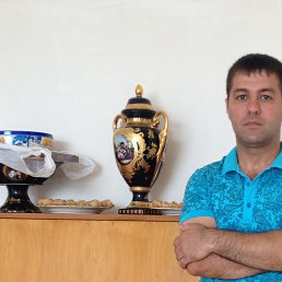 ����, ������, 46 ���