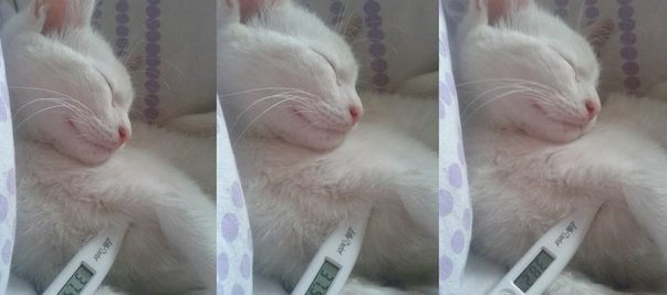   .    38-39  ;)#@https://fotostrana.ru/away?to=/sl/XE2