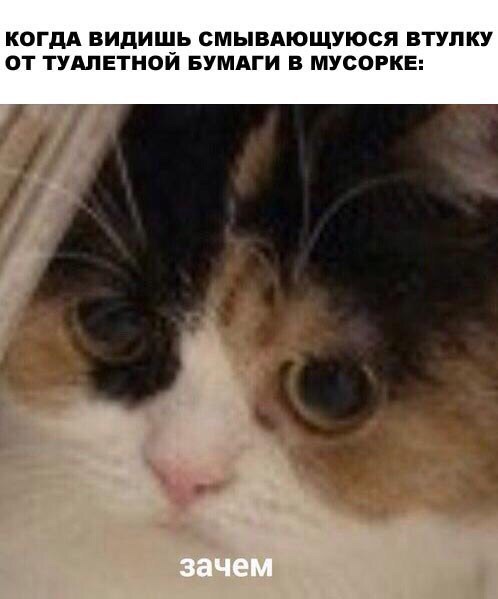  - 7  2016  23:46