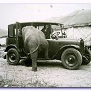 ���� Aleks, ����� ������� - ��������� 13 ������� 2015 � ������ �Elephants�