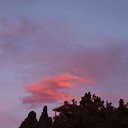 , 08.03.16.   , 08.03.16.